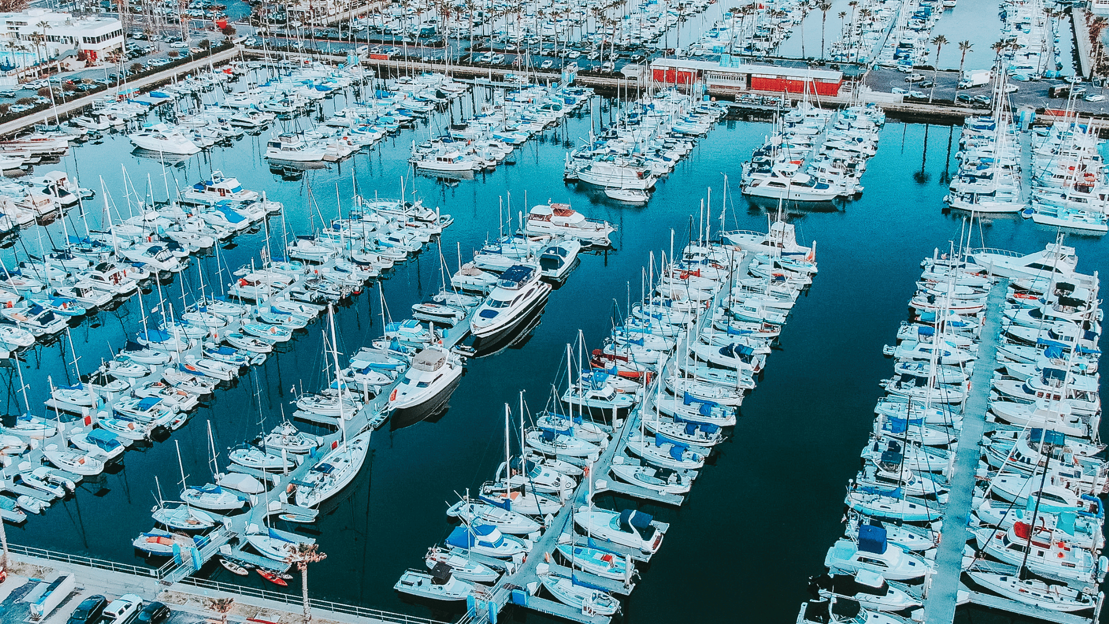 Driving Business Growth with Metarina: Strategies for Expansion