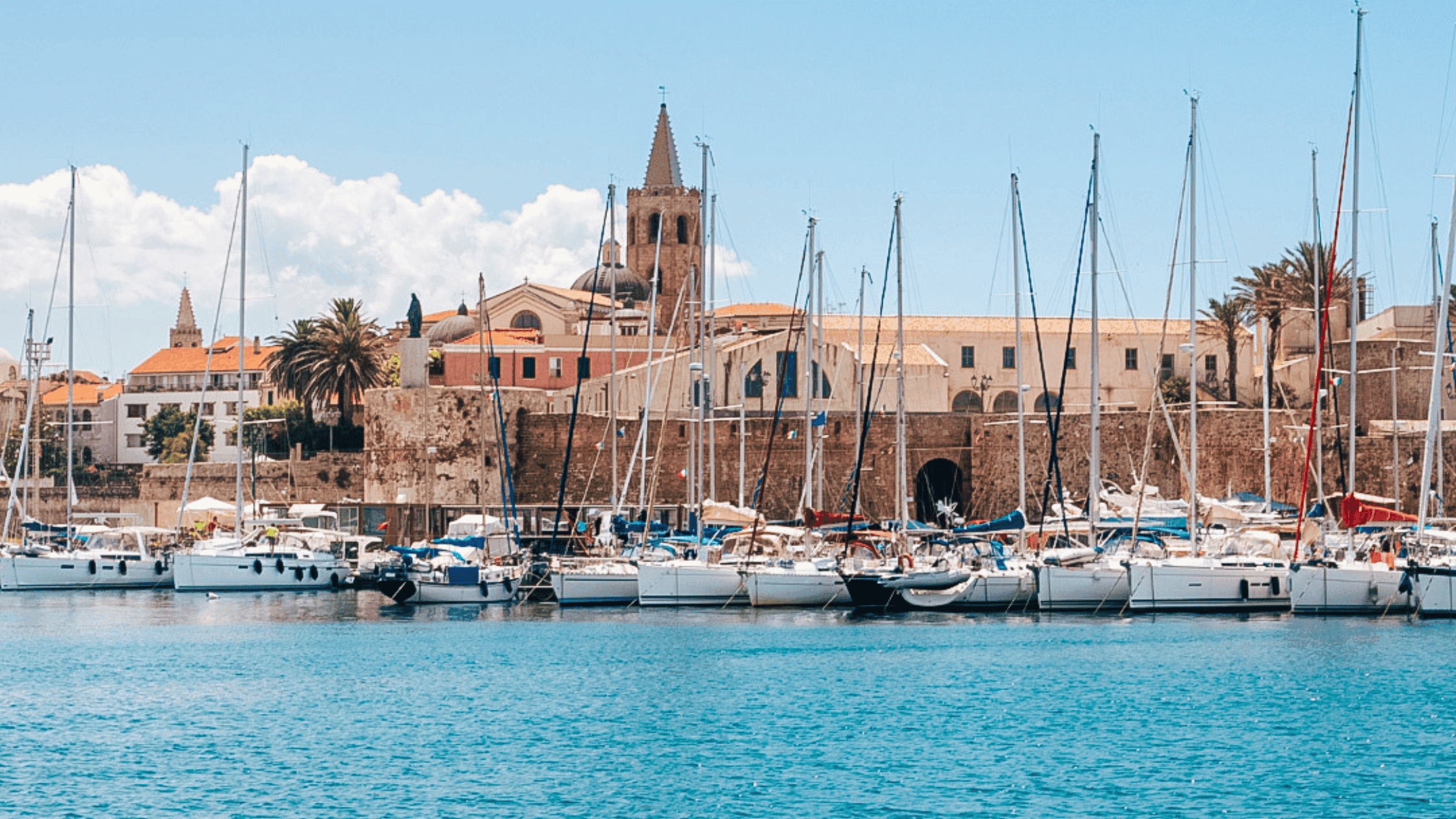The Ultimate Guide to Intelligent Marina Management Software